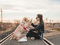 Webseite für Hundeschule erstellen – in 5 Tagen online