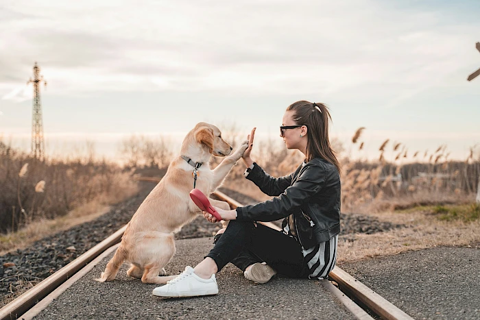 Webseite für Hundetrainer & Hundeschulen erstellen lassen Webseite für Hundetrainer & Hundeschulen erstellen lassen