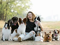 Webseite für Hundebetreuung mit Gassi-Service erstellen