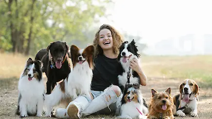 Hundebetreuung