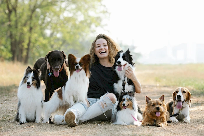Webseite für Hundebetreuung mit Gassi-Service erstellen Webseite für Hundebetreuung mit Gassi-Service erstellen